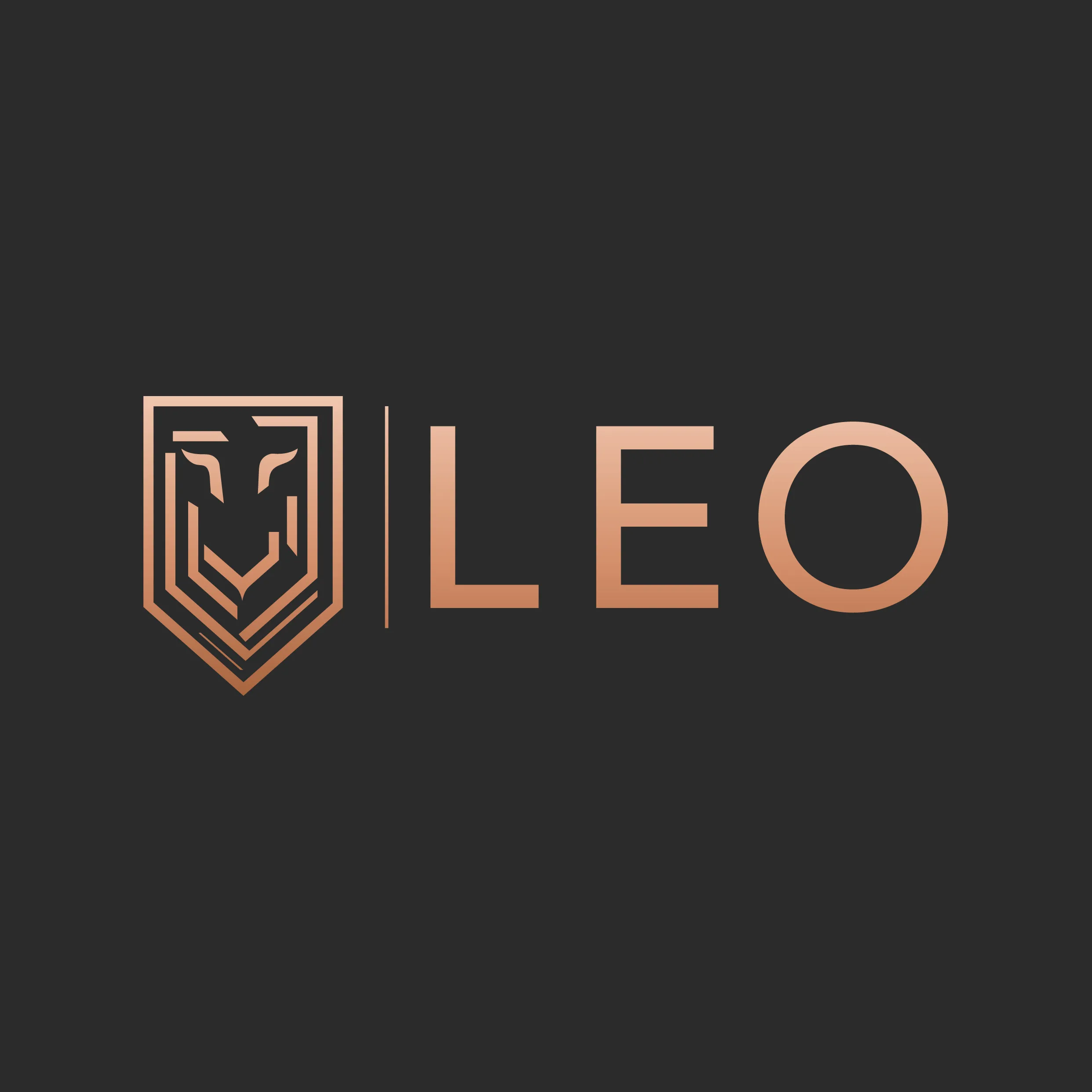 LEO Developments logo