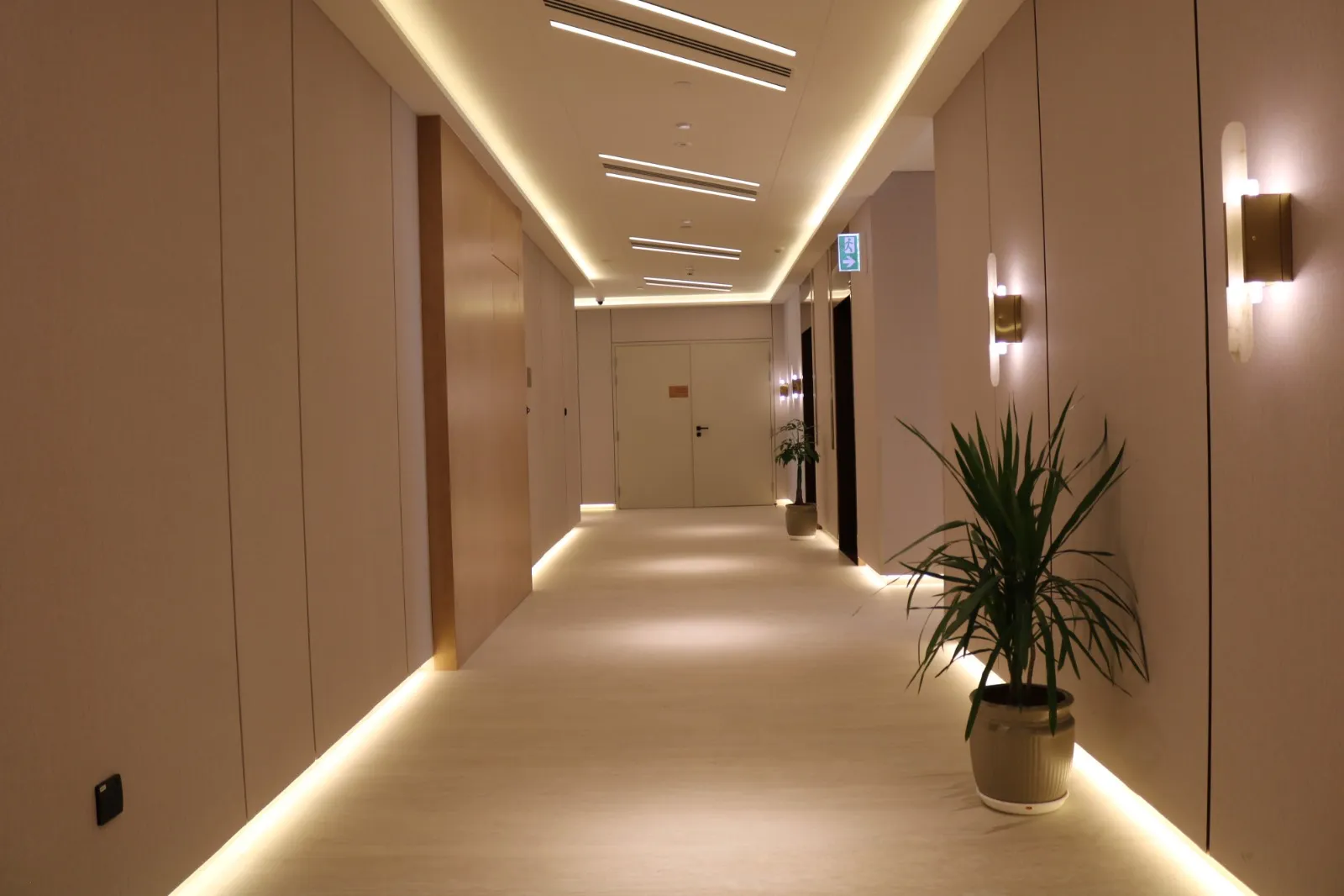 A corridor with apartment doors, brass wall lights and a plant, lit from the ceiling